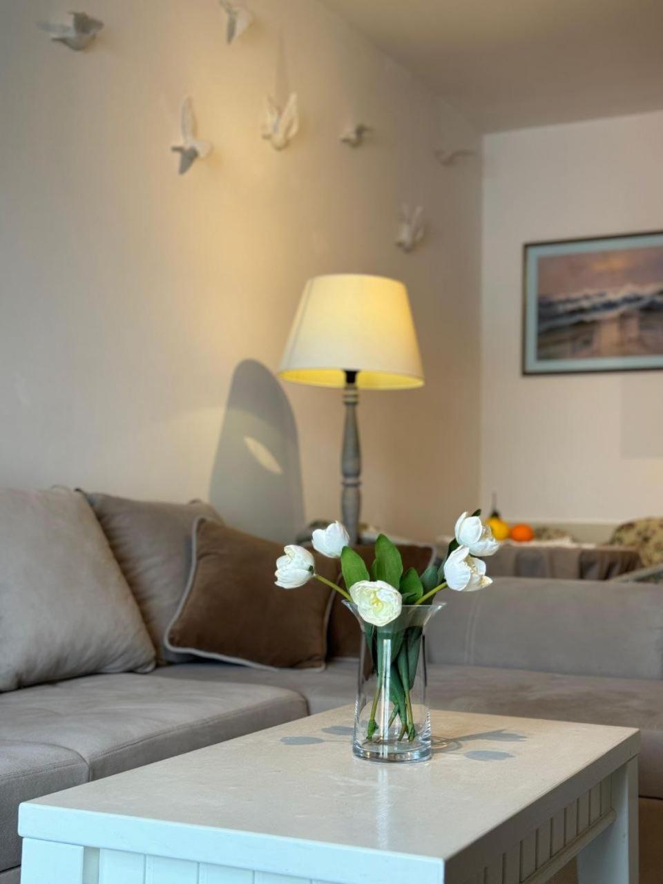 Vikka Boka Apartment โดนาจ์ คอสแทนไนจ์กา ภายนอก รูปภาพ